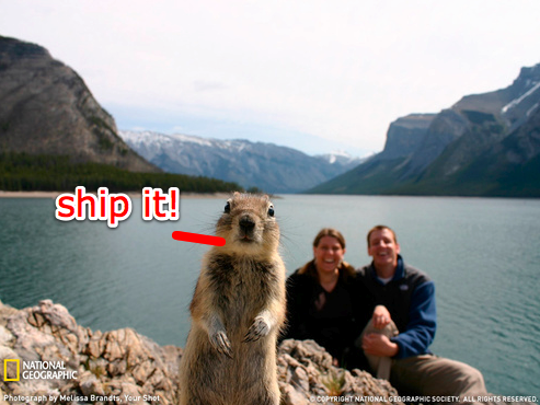 Ship It Squirrel