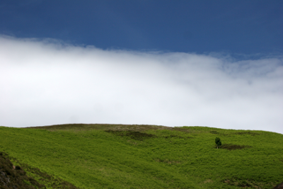 Playground in the cloud